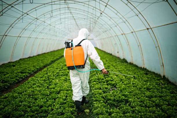 Best Pest Control Near Me  in Westminster, TX
