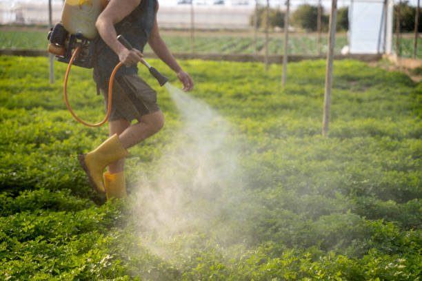 Best Emergency Pest Control  in Westminster, TX