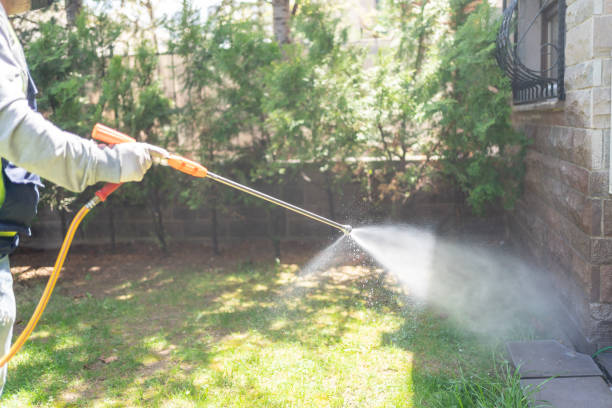 Best Rodent Control Near Me  in Westminster, TX