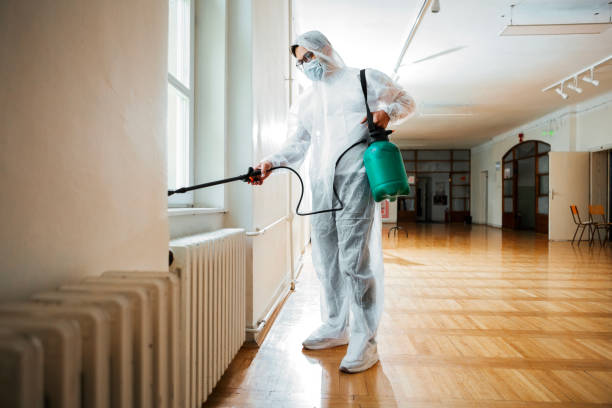 Flea Control Services in Westminster, TX