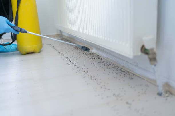 Best Pest Inspection Near Me  in Westminster, TX